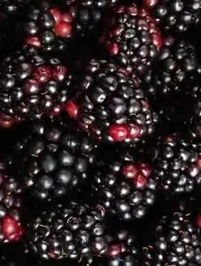 Gel de Limpeza Facial Clarifying - Purificante & Mate 200ml | Unnamed Cosmetics